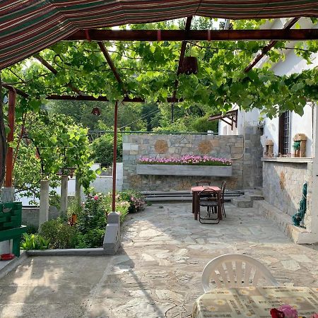 Η θεα traditional house Μακρινίτσα Εξωτερικό φωτογραφία