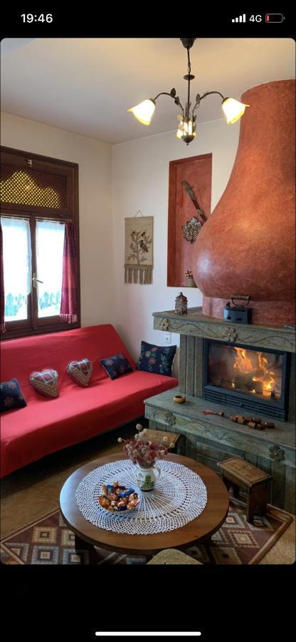 Η θεα traditional house Μακρινίτσα Εξωτερικό φωτογραφία