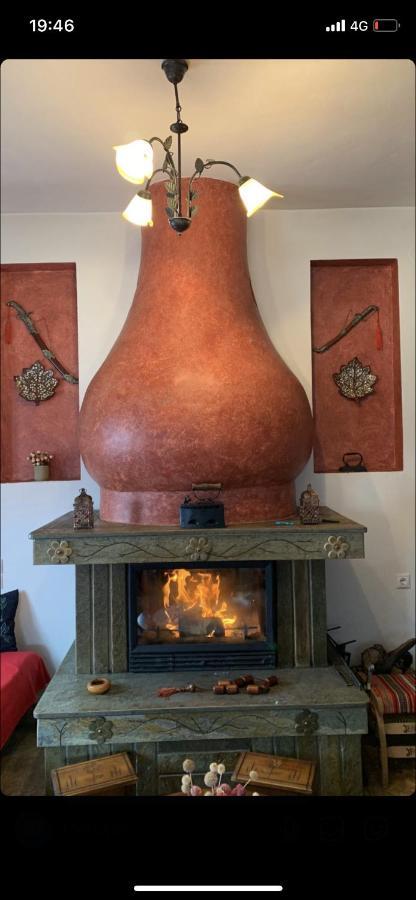 Η θεα traditional house Μακρινίτσα Εξωτερικό φωτογραφία