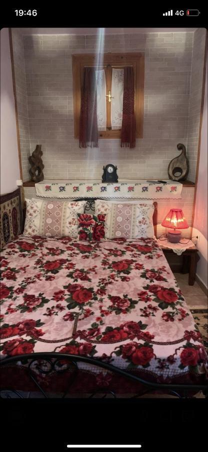 Η θεα traditional house Μακρινίτσα Εξωτερικό φωτογραφία