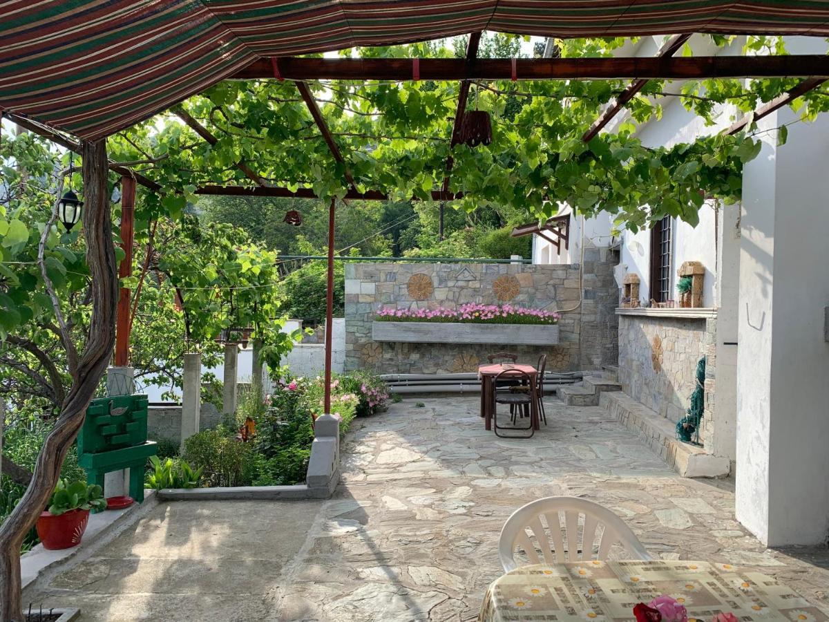 Η θεα traditional house Μακρινίτσα Εξωτερικό φωτογραφία